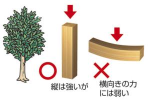 木の性質です。