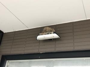 イノウエマネージャーの<br>駐車場の上・・