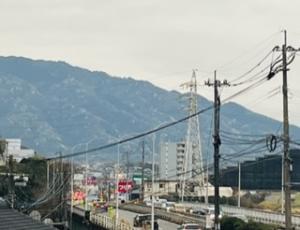 桜の開花宣言
